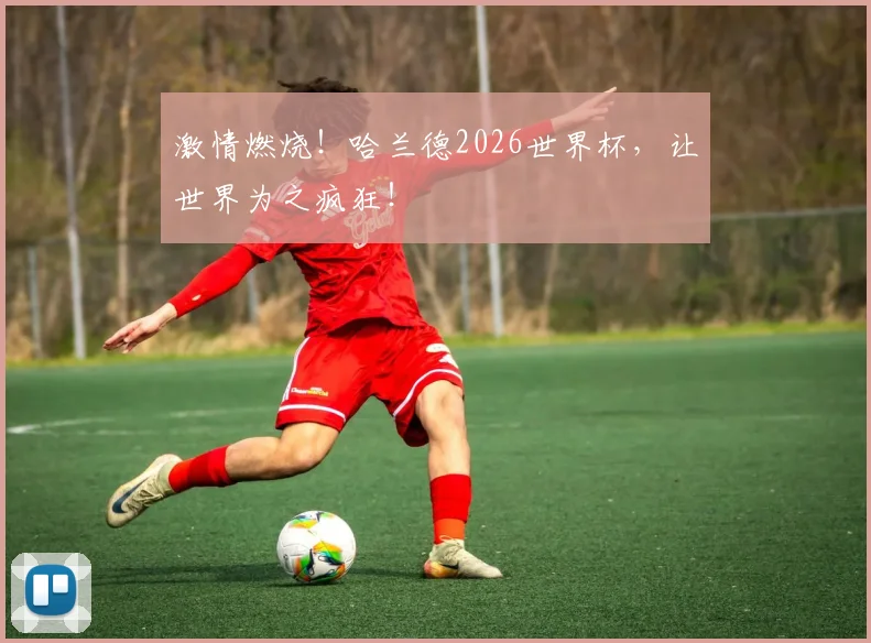 激情燃烧!哈兰德2026世界杯,让世界为之疯狂!